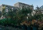 фото ЖК homecity