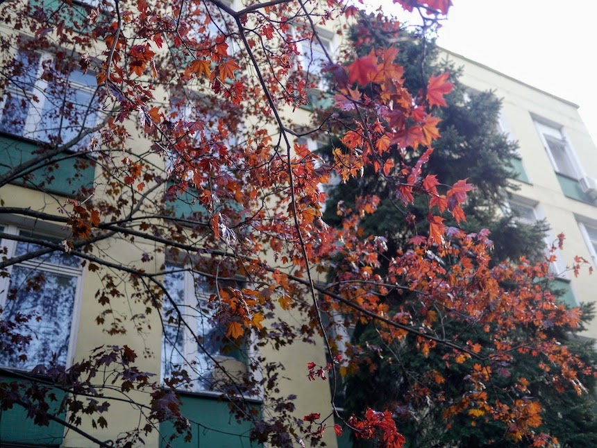 Алексеевский район