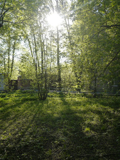 Алексеевский район