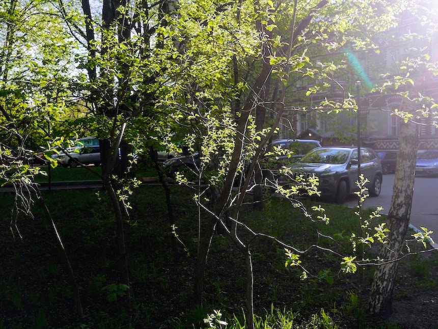 Алексеевский район