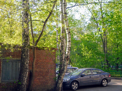 Алексеевский район