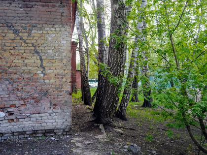 Алексеевский район