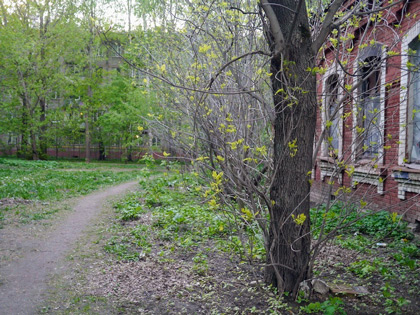 Алексеевский район