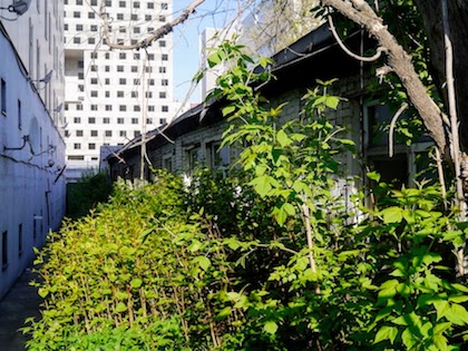 Алексеевский район