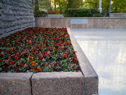 Алексеевский район