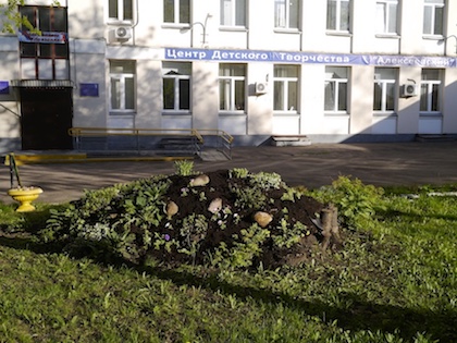 Алексеевский район