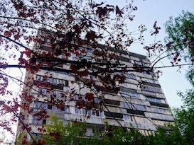 Алексеевский район