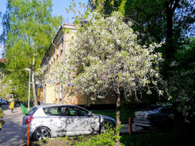 Алексеевский район