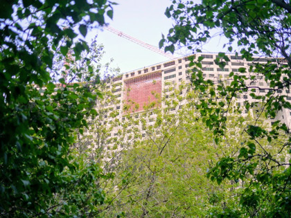 Алексеевский район