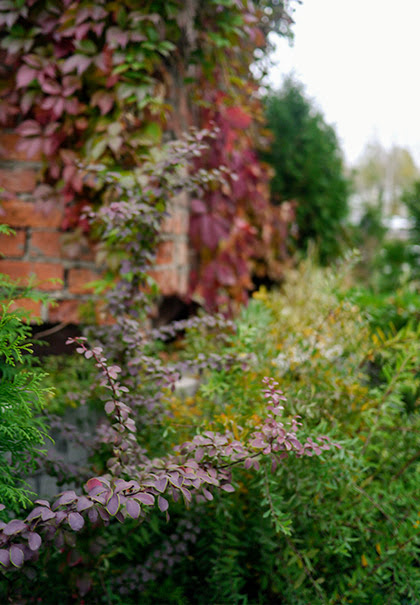 Даниловский район