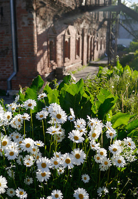 Даниловский район