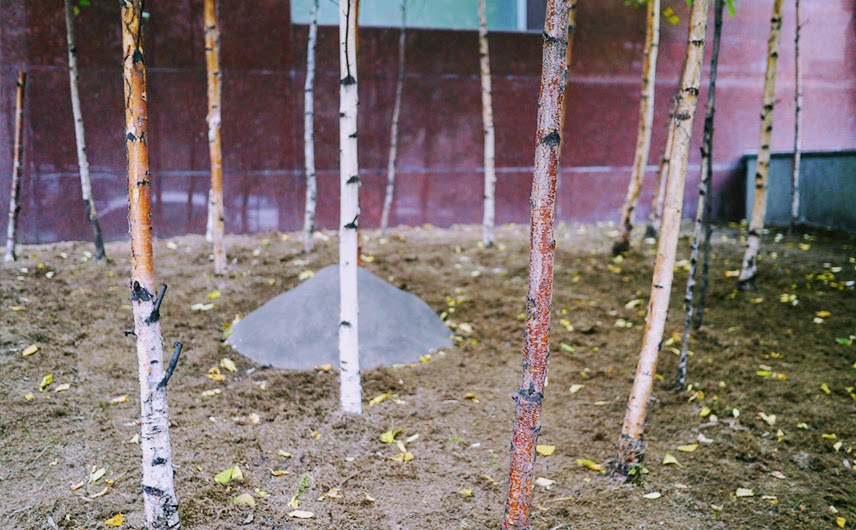 Даниловский район