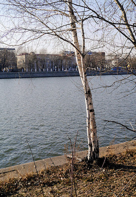 Даниловский район