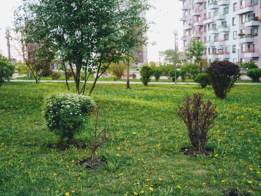 Коммунарка