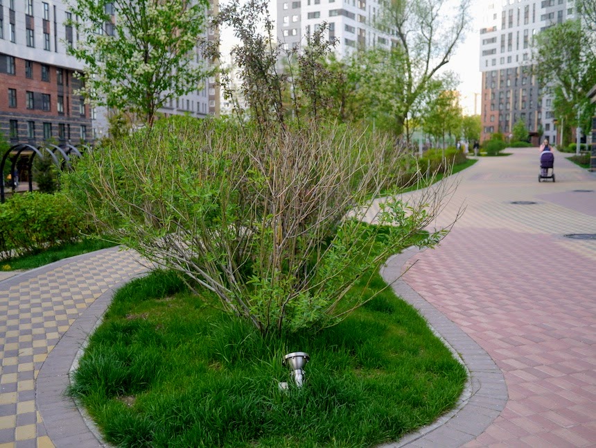 Коммунарка