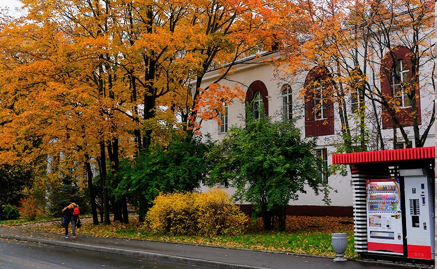 Останкинский район