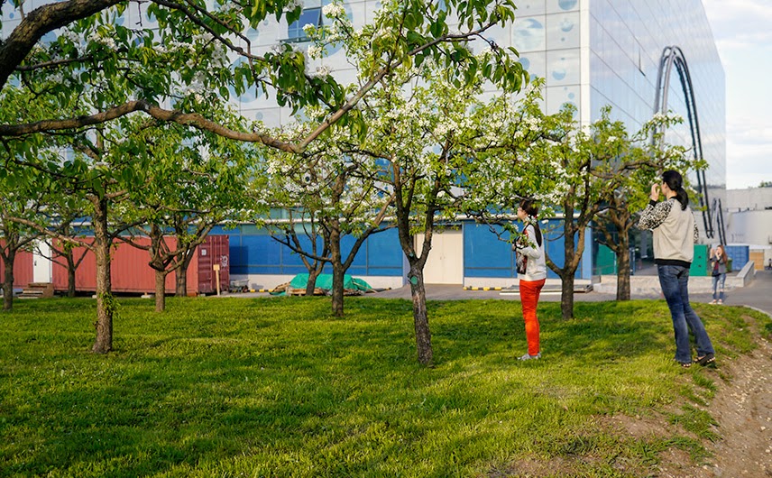 Останкинский район